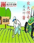 传奇小农夫