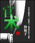 登顶中央的长篇官场