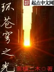 苍穹之光多少钱