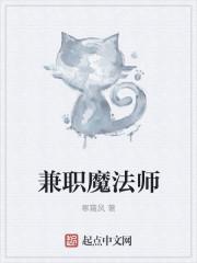 兼职魔法师起点