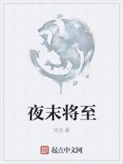 夜末将至电影