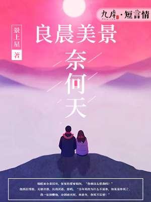 良辰美景奈何天红楼梦